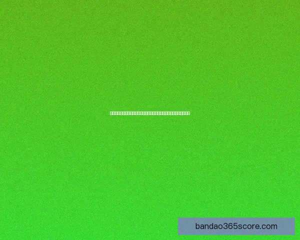 半岛体育平台带你领略全球体育赛事精彩瞬间，畅享多元化体育娱乐体验